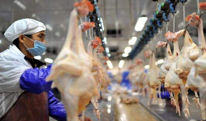 廣州高新屠宰場---超高溫?zé)岜脵C組