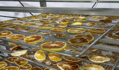 深圳源興果品有限公司--高溫?zé)崴こ? />
                <p>深圳源興果品有限公司--高溫?zé)崴こ?/p>
              </a>
            </div>
                        <div   id=